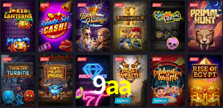 9aa App Interface